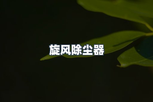 旋风除尘器